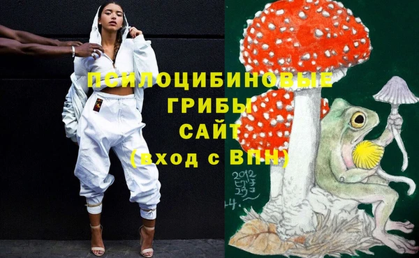 стаф Липки