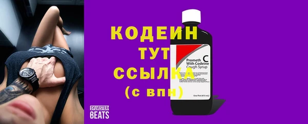 мдпв Майский