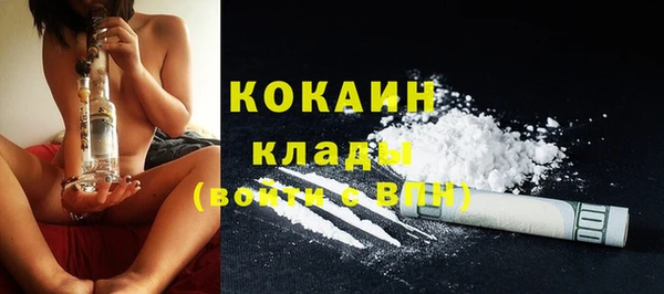 крисы Гусь-Хрустальный