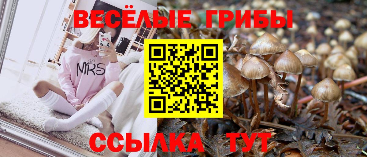 Псилоцибиновые грибы Psilocybine cubensis  продажа наркотиков  Минеральные Воды  Псилоцибиновые грибы мухоморы  Вход с VPN 